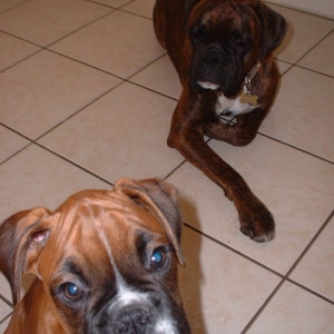 Nosey Zeb, sleepy Lola