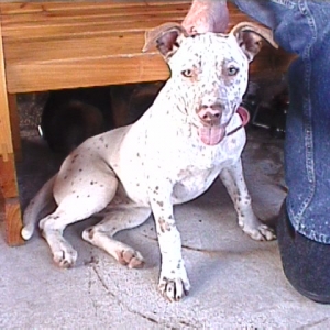 Our little trey, who we named Dottie...