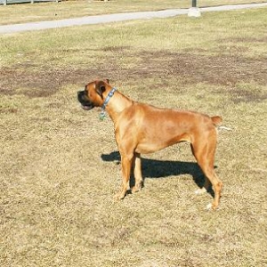 Picture_801