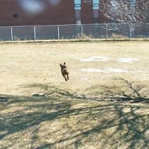 she flies!