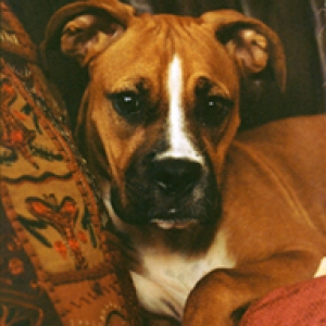 portrait