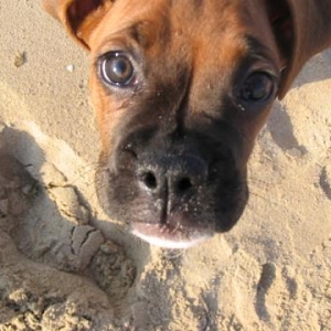 First Time at the Beach!