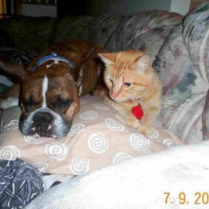 Hey DOG!! Get off of me!