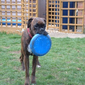 My Frisbee