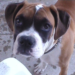Look at that baby face - 18 weeks