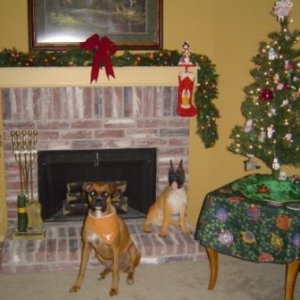 Merry_Christmas2005
