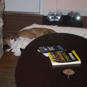 Bed too small