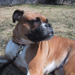 Basking in the sun