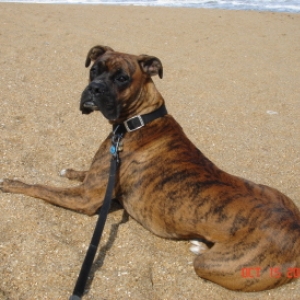 Beach Bum