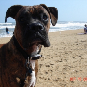 First Beach Trip