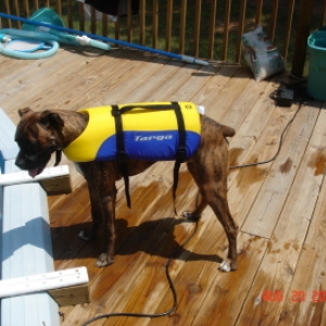 Let's Swim!