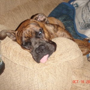 It's been a long day!