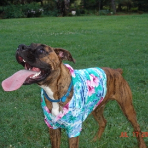 Long Tongue!