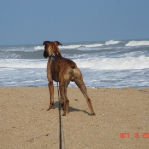I want to play in the waves!