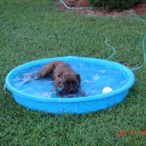 Cool Off and Play More!