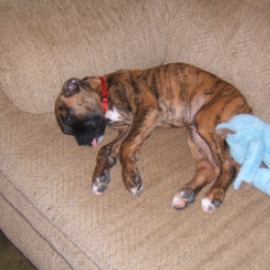 Sleepy Time