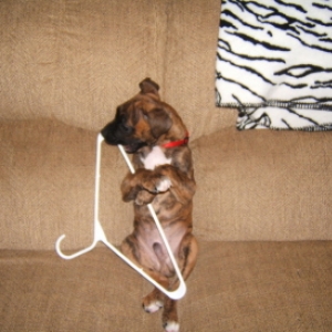 Too Cute!
