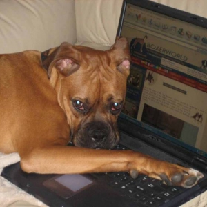 Reading the forums