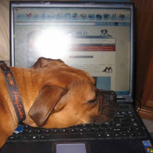 Is this a good place to nap?