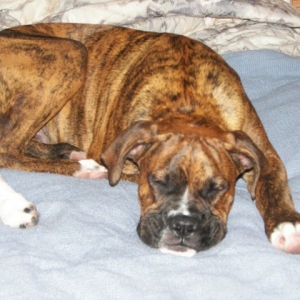 Tired baby