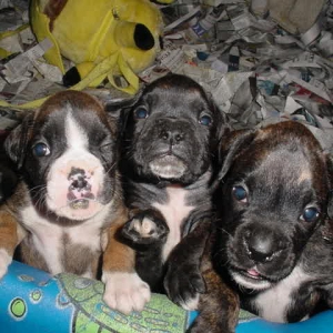 Cassius & Family!