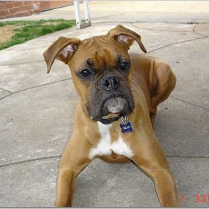 ten months old
