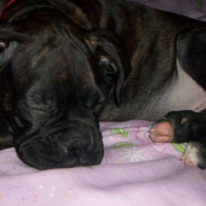Bedtime!