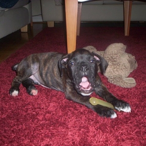 Big Yawn!