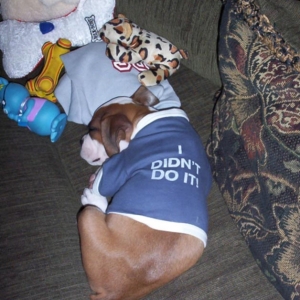 I Didn't Do It
