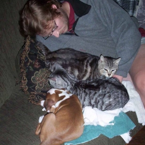 Puppy and Cats
