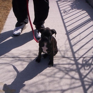 First Walk!