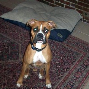 tito_2