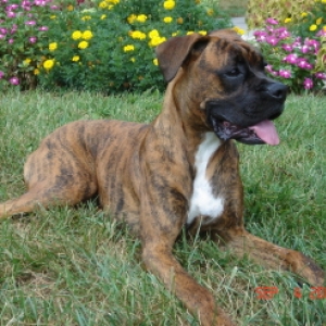 Rocky Posing