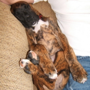 Are you comfortable, Rocky?