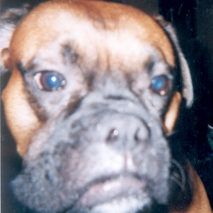 Sam's closeup