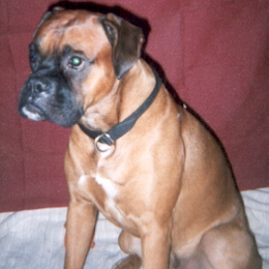 Sammy3