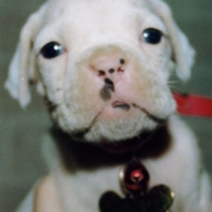 Tizoc 5 weeks old.