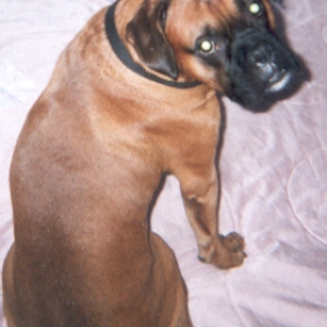 Samson_posing