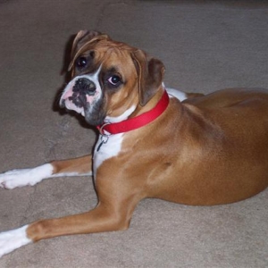 Sweet Samantha