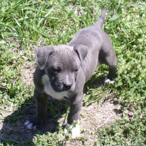 Baby Keela