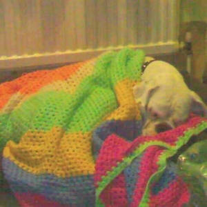 Wrapped up in "Blanky"!