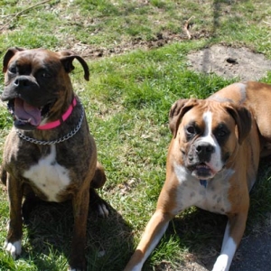 Double Trouble!