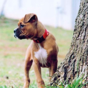 Striking a pose