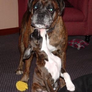 Sophie and Dino