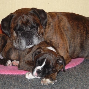 Sophie and Dino