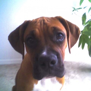 He was just a baby