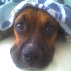 my butchy