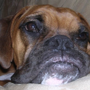 Close Up