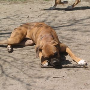 The Prize