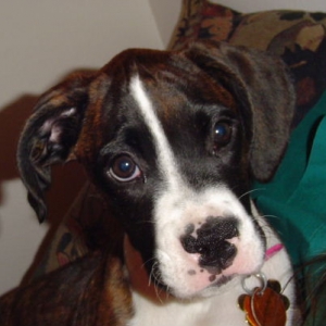 Hurley Belle!